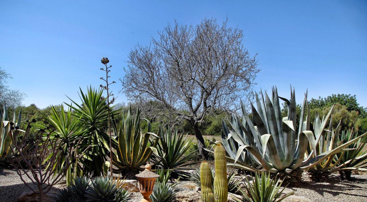 Finca Casa Mas سنتاني المظهر الخارجي الصورة