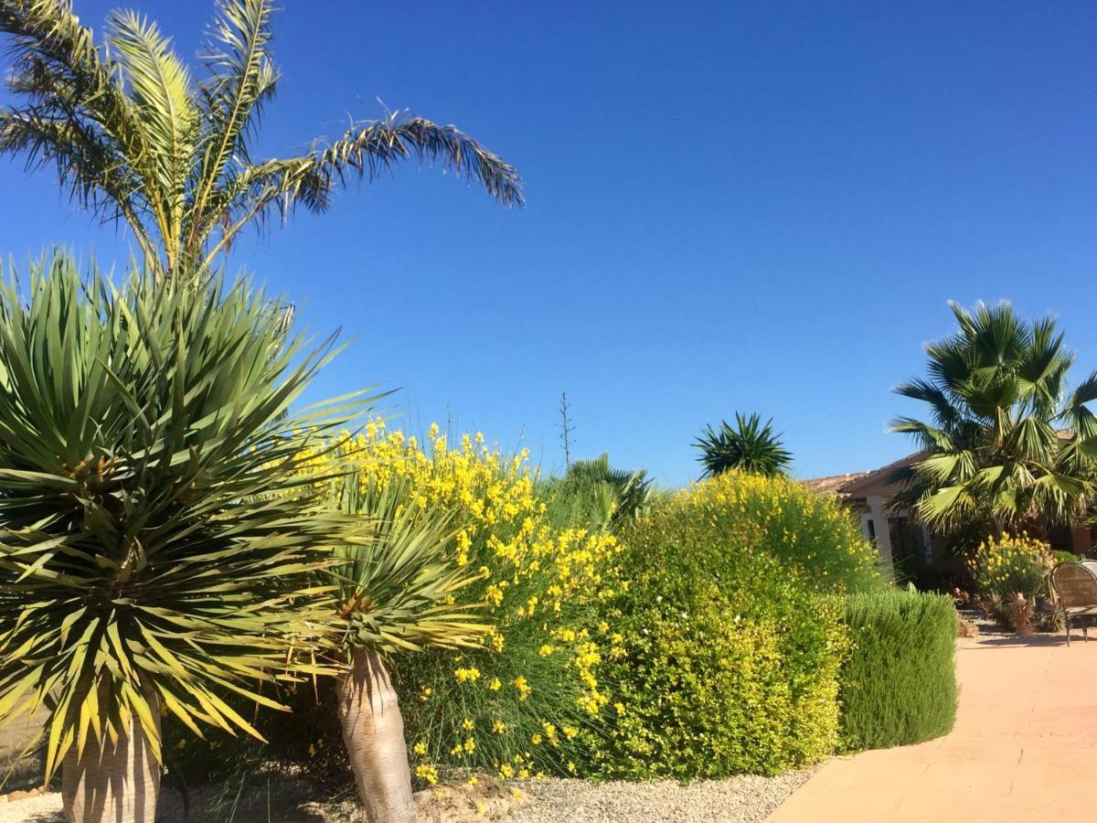Finca Casa Mas سنتاني المظهر الخارجي الصورة