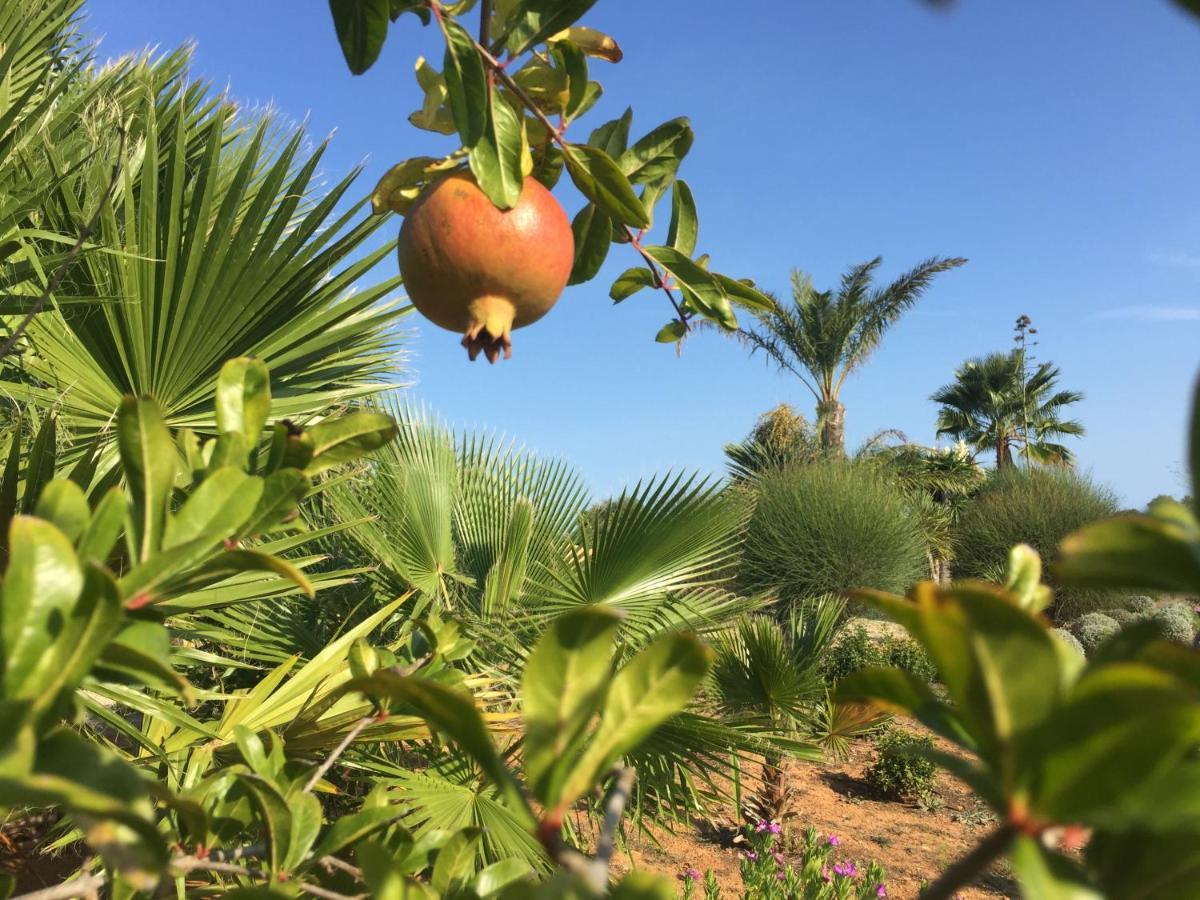 Finca Casa Mas سنتاني المظهر الخارجي الصورة